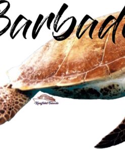 Alternative view of I Love Barbados
