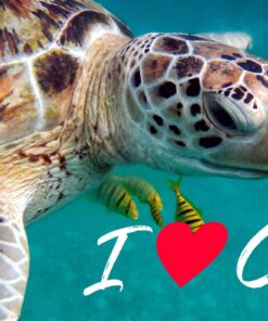 Alternative view of I Love Curacao